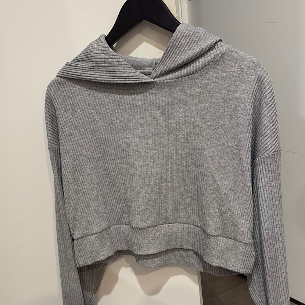 ALO Yoga Gray Cropped Hoodie Sweatshirt